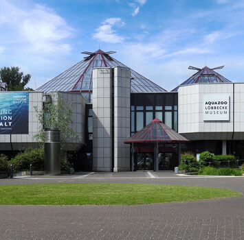 Car Hire Aquazoo Museum